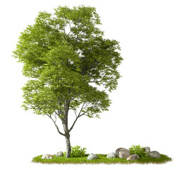 Wall Mural - Lone nature tree landscape cutout 3d render png