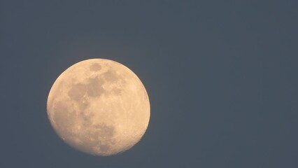 Wall Mural - beautiful moon - big moon -