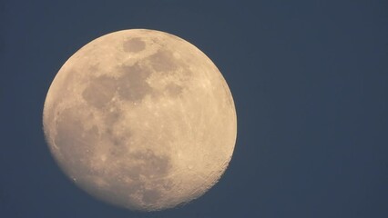 Wall Mural - beautiful moon - close up .zoom .