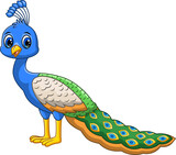 Fototapeta  - Beautiful peacock cartoon on white background