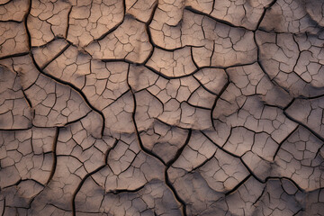 Wall Mural - Close-up of a cracked ground, Generative AI