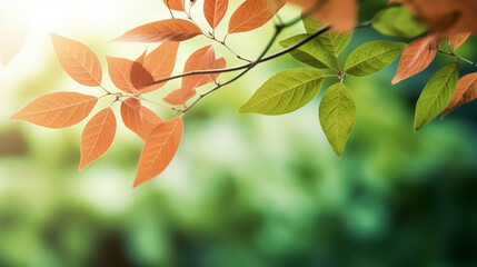 Wall Mural - Close-up of a tree branch with green leaves and blurred background, nature, Generative AI
