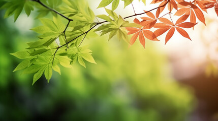 Wall Mural - Close-up of a tree branch with green leaves and blurred background, nature, Generative AI