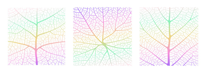 Leaf vein texture abstract background with close up plant leaf cells ornament texture pattern. Gradient organic macro linear pattern of nature leaf foliage vector illustration.