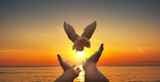 Fototapeta Zwierzęta - Praying hands and white dove flying happily on blurred background with sunset , hope and freedom concept.