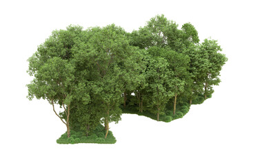 Wall Mural - Green forest isolated on background. 3d rendering - illustration