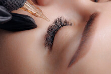 Procedure Permanent Makeup Tattoo Eyeliner On Eye Of Beautiful Woman