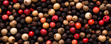 Four Color Peper Or Mixes Peppercorns Top View.