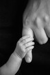 © Taniya Larina - A newborn baby's hand holds his dad's finger. Newborn baby holding dad's hand. In dad's hands. Tenderness. Daughter. Son. Father. A happy family. 9 months. Newborn photo session. Black and white photo