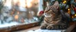 a cat is sitting by a calendar beside the notes for the New Year, in the style of landscape inspirations, organic abstractions, contemporary fact versus fiction, floral accents, studyblr, silver and b
