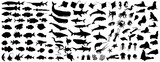 Fototapeta Konie - Big collection of sea animals. More than 100 silhouettes of various types of sea animals. Vector illustration