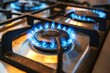 Controlled intensity Gas stove burner displaying a striking, blue flame