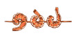 Organic food. Hand-drawn colored vector sketch of cooked shrimp on a skewer. Doodle vintage illustration. Decorations for the menu. Engraved image.