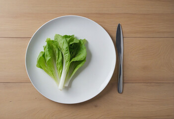 Plant-based diet - two lettuce leaves on plate, cutlery, wooden background