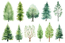 Watercolor Painting Evergreens Tree Symbols On A White Background. 