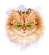 Cute cate in sunglasses. Valentine cat. Fashion kitty in headband. 