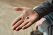 cropped view of man holding blue and white capsule, close up photo of medication in male hand