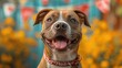 the festive setting includes colorful banners and ecorations that emphasize the beauty and nobility of Pitbulls,