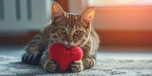 Tabby Cat Holding Little Red Heart. Close-up Of A Tabby Cat With A Fuzzy Red Heart Toy Between Its Paws, Expressing Affection Wallpaper.