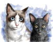 Cat pet portrait watercolor painting