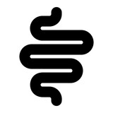 Fototapeta  - intestine glyph icon