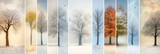 Fototapeta  - Winter mood  collage divided with white vertical lines and bright light white segments