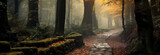 Fototapeta Fototapeta las, drzewa - autumn forest with trees and leaves and path
