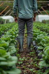 Wall Mural - Young farmer wearing rubber boots standing in farm