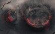© AmazingAerialAgency - Aerial drone top-down view of red coloured volcanic craters in the highlands of Iceland.