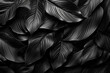 © ProDesigner - Textures of abstract black leaves for tropical leaf background