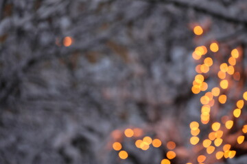 Canvas Print - Blurred Bokeh Winter Photos