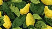  A Painting Of A Bunch Of Yellow Pears On A Tree Branch With Green Leaves On A Dark Green Background.
