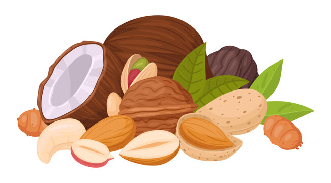 Cartoon nuts mix. Seeds and nuts bunch, cashew, walnut, peanut and almond mix, vegetarian diet organic snack flat vector illustration. Raw nut mix