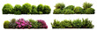 © Yeti Studio - Set of lush garden bushes cut out