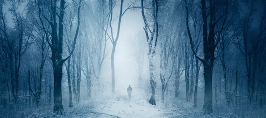 Wall Mural - fantasy winter forest landscape with man silhouette
