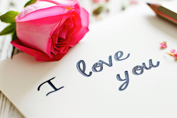 Wall Mural - I love you card with pink rose and pencil on white wooden background