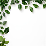 Fototapeta Natura - Fresh Green Laves Natural Set Isolated on White Background with copy space.