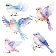 A Watercolor Painting Of Five Birds In Blue And Pink Colors, Two Of Them Flying, One Perched On A Branch, And Two Others On The Branches.