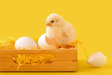 Wall Mural - Wooden box with cute little chick and eggs on yellow background