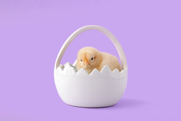 Wall Mural - Basket with cute little chick on lilac background