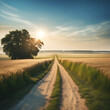 Beautiful idyllic landscape in countryside banner format with a wide field of cereals and a pasture divided by a deserted asphalt road against a blue summer sky .
