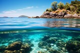 Fototapeta Do akwarium - The beauty of marine life unfolds in a picturesque bay, where colorful corals enhance the scenic view