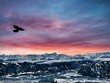 flying over the mountains sky bird