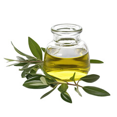 Wall Mural - Tea Tree Leaves and Oil Used for Its Antiseptic Properties.. Isolated on a Transparent Background. Cutout PNG.
