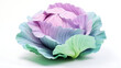 cabbage, painted in soft pastel hues of green, blue, and purple