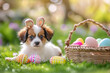 Easter card. Cute dog with bunny ears lying on the lawn near basket with colorful Easter eggs