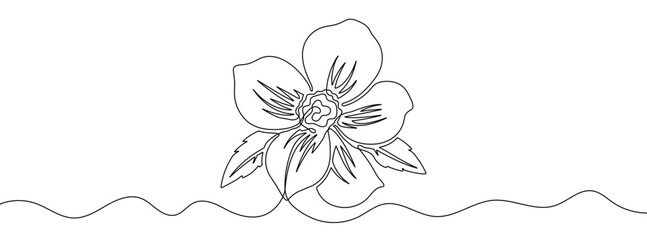 Wall Mural - continuous editable drawing of a flower. one line drawing background. vector illustration. flower ic