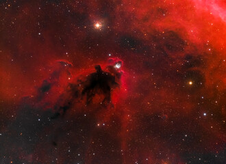 Wall Mural - boogeyman nebula or called ldn 1622, in the orion constellation, taken with my telescope.
