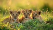 Lion cubs in the grass in Maasai Mara National Park in Kenya, ai generative