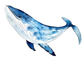 Wall Mural - Whale watercolor illustration on white background.